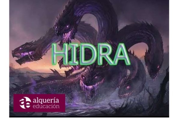 Kraken смылка