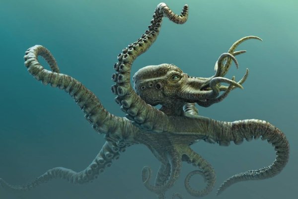 Kraken адрес